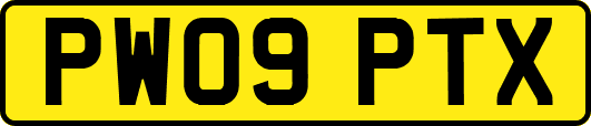 PW09PTX