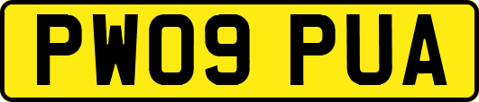 PW09PUA