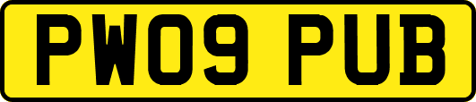 PW09PUB
