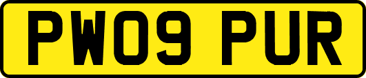 PW09PUR