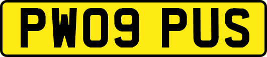 PW09PUS