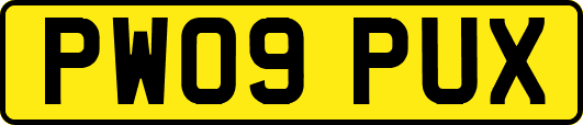 PW09PUX