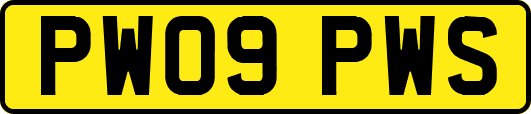 PW09PWS