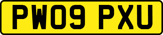 PW09PXU