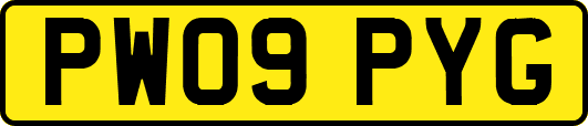 PW09PYG
