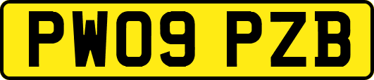 PW09PZB