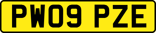 PW09PZE