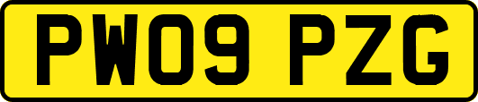 PW09PZG