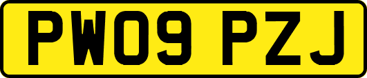 PW09PZJ