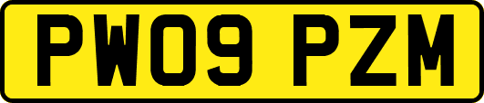 PW09PZM