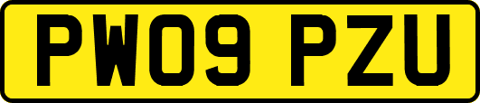 PW09PZU