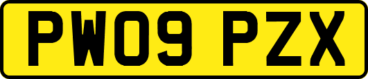 PW09PZX