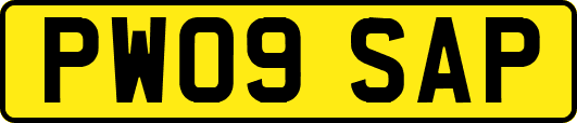 PW09SAP