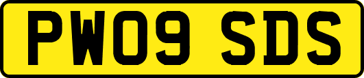 PW09SDS