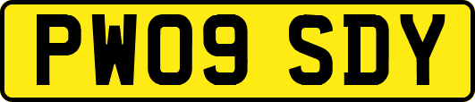 PW09SDY