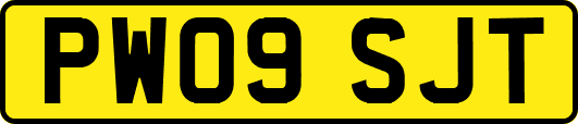 PW09SJT