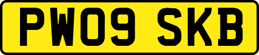 PW09SKB