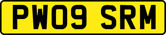 PW09SRM