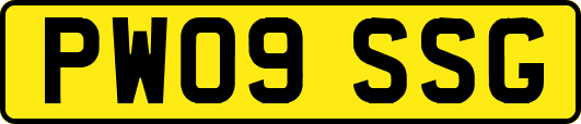 PW09SSG