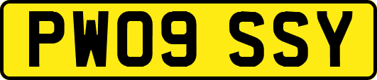 PW09SSY