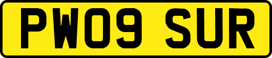 PW09SUR