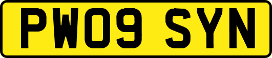 PW09SYN