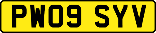 PW09SYV