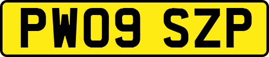 PW09SZP