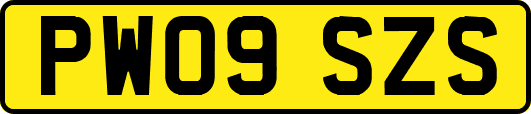 PW09SZS