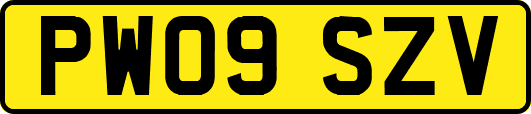 PW09SZV