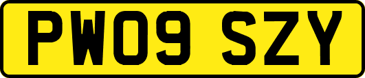 PW09SZY