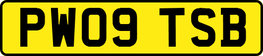 PW09TSB