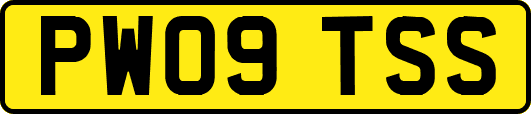 PW09TSS