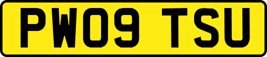 PW09TSU