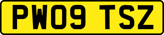 PW09TSZ