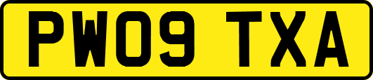 PW09TXA