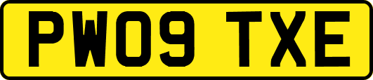 PW09TXE