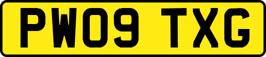 PW09TXG
