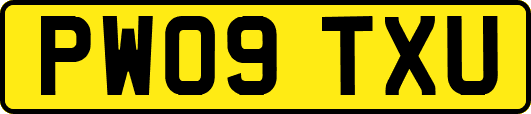 PW09TXU