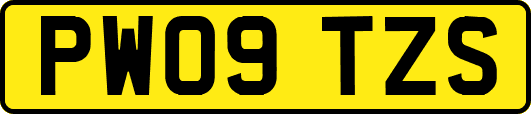 PW09TZS