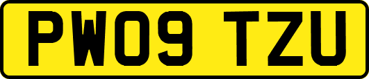 PW09TZU