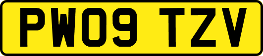 PW09TZV