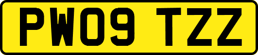 PW09TZZ