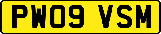 PW09VSM