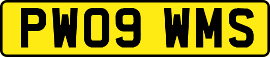 PW09WMS