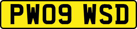 PW09WSD
