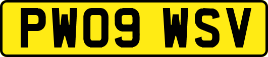 PW09WSV