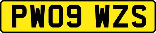 PW09WZS