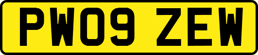 PW09ZEW