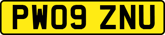PW09ZNU